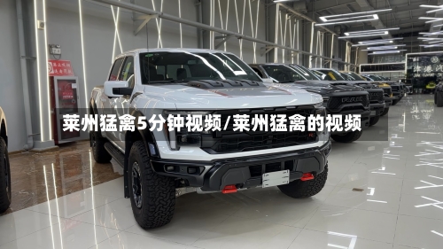 莱州猛禽5分钟视频/莱州猛禽的视频