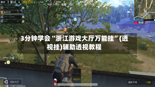 3分钟学会“浙江游戏大厅万能挂	”(透视挂)辅助透视教程-第2张图片