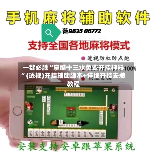 一键必胜“掌酷十三水免费开挂神器”(透视)开挂辅助脚本+详细开挂安装教程-第2张图片