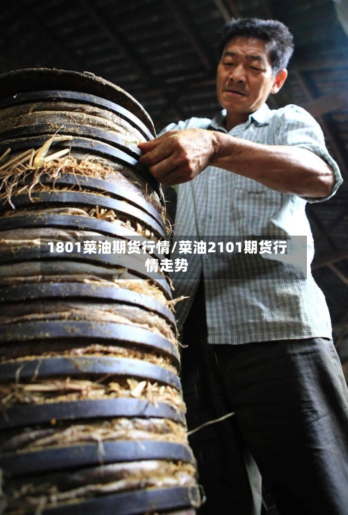 1801菜油期货行情/菜油2101期货行情走势