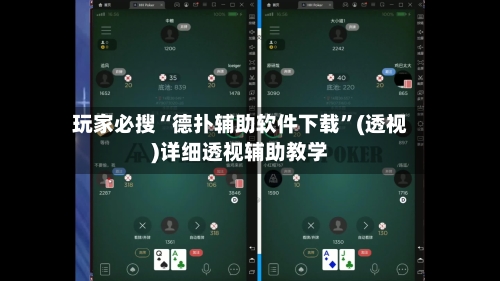 玩家必搜“德扑辅助软件下载”(透视)详细透视辅助教学-第2张图片