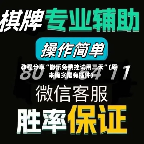 教程分享“微乐免费挂试用三天”(原来确实是有插件)-第3张图片