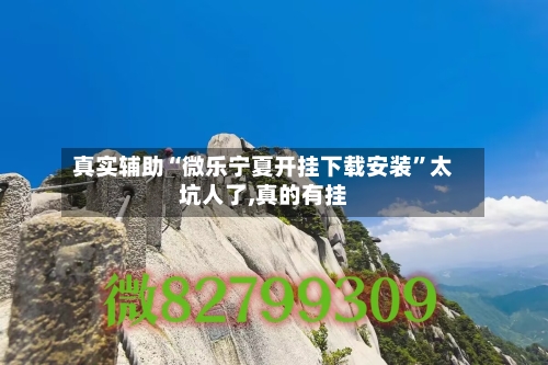 真实辅助“微乐宁夏开挂下载安装	”太坑人了,真的有挂-第2张图片