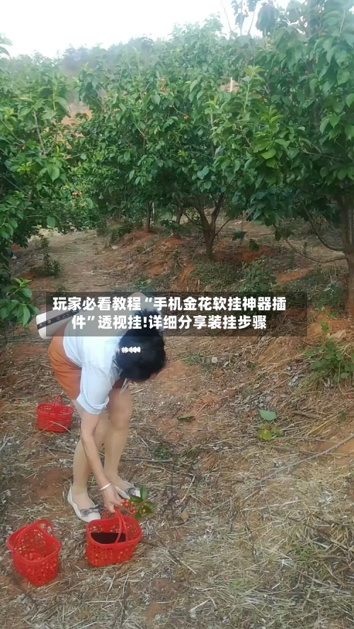 玩家必看教程“手机金花软挂神器插件”透视挂!详细分享装挂步骤-第3张图片