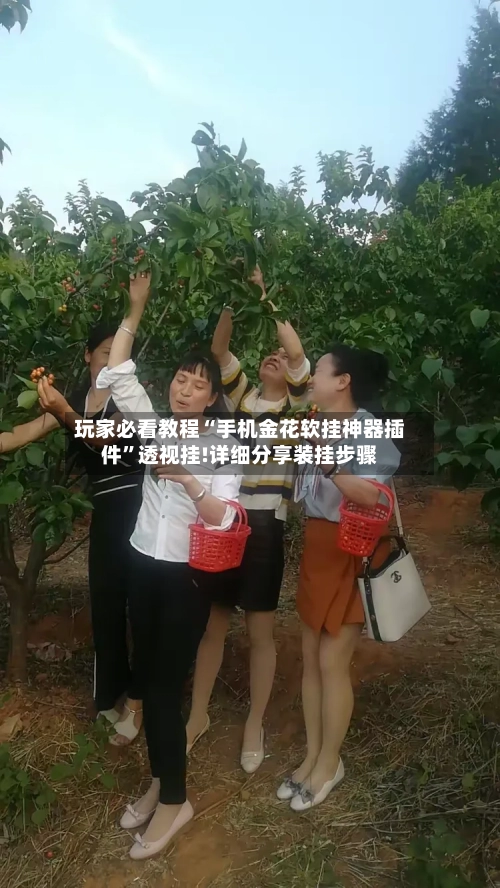 玩家必看教程“手机金花软挂神器插件	”透视挂!详细分享装挂步骤-第2张图片