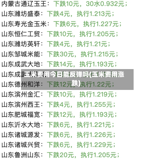 玉米费用今日能反弹吗(玉米费用涨跌)
