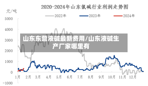 山东东营液碱最新费用/山东液碱生产厂家哪里有