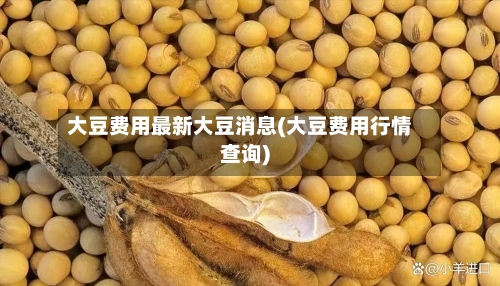 大豆费用最新大豆消息(大豆费用行情查询)