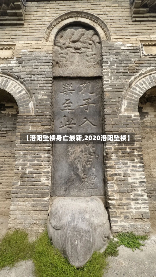 【洛阳坠楼身亡最新,2020洛阳坠楼】