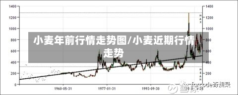 小麦年前行情走势图/小麦近期行情走势-第3张图片