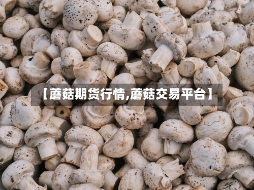 【蘑菇期货行情,蘑菇交易平台】