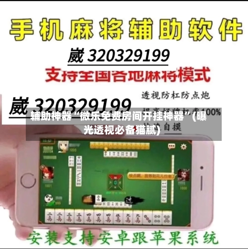 辅助神器“微乐免费房间开挂神器”(曝光透视必备猫腻)-第3张图片