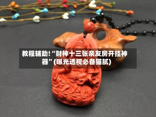 教程辅助!“财神十三张亲友房开挂神器”(曝光透视必备猫腻)