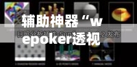 辅助神器“wepoker透视挂作弊辅助方法”通用版下载教程