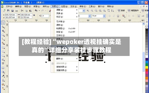 [教程经验]“wepoker透视挂确实是真的”详细分享装挂步骤教程-第3张图片