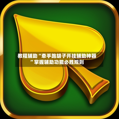 教程辅助“牵手跑胡子开挂辅助神器”掌握辅助功能必胜规则-第3张图片