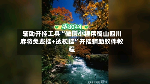 辅助开挂工具“微信小程序蜀山四川麻将免费挂+透视挂”开挂辅助软件教程-第3张图片