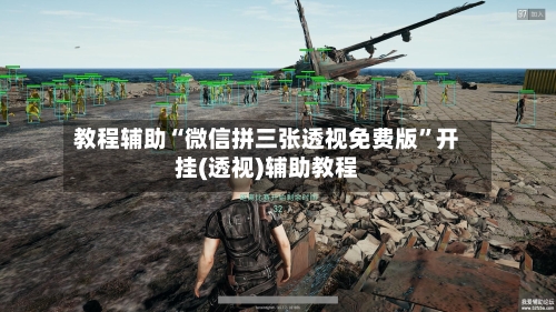 教程辅助“微信拼三张透视免费版”开挂(透视)辅助教程-第2张图片