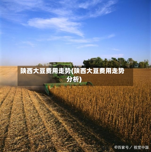 陕西大豆费用走势(陕西大豆费用走势分析)-第3张图片