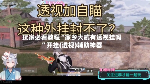 玩家必看教程“家乡大贰有透视挂吗”开挂(透视)辅助神器-第2张图片