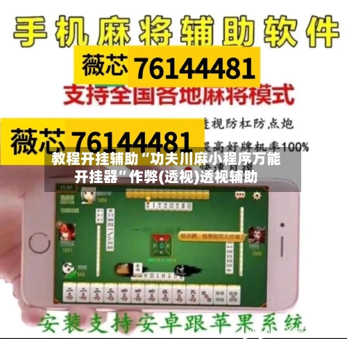 教程开挂辅助“功夫川麻小程序万能开挂器”作弊(透视)透视辅助-第3张图片