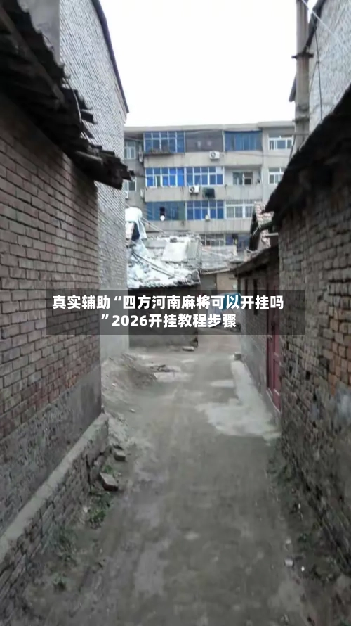 真实辅助“四方河南麻将可以开挂吗	”2026开挂教程步骤-第2张图片