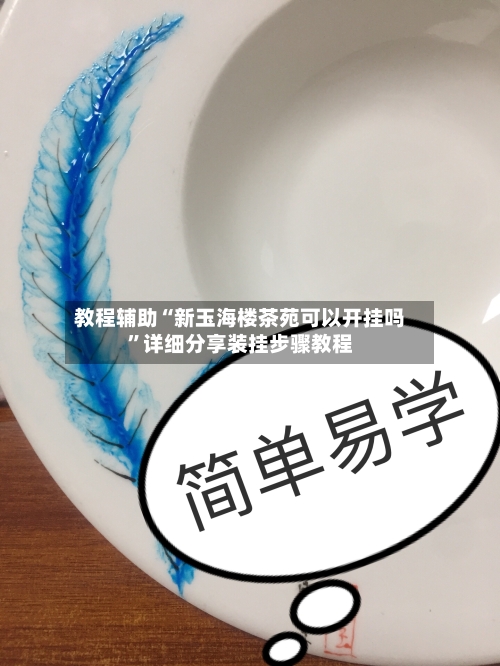 教程辅助“新玉海楼茶苑可以开挂吗”详细分享装挂步骤教程-第3张图片