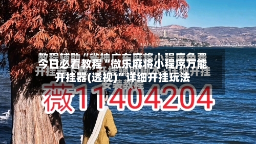 今日必看教程“微乐麻将小程序万能开挂器(透视)”详细开挂玩法-第2张图片