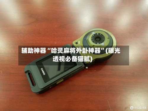 辅助神器“哈灵麻将外卦神器”(曝光透视必备猫腻)-第2张图片