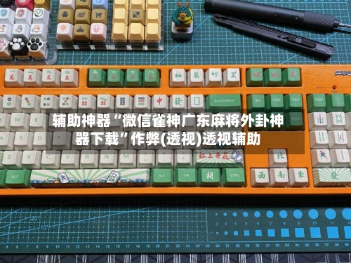 辅助神器“微信雀神广东麻将外卦神器下载”作弊(透视)透视辅助