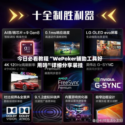 今日必看教程“WePoker辅助工具好用吗”详细分享装挂-第2张图片