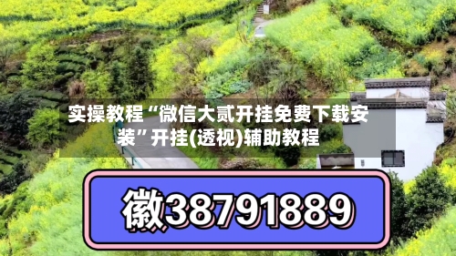 实操教程“微信大贰开挂免费下载安装”开挂(透视)辅助教程-第3张图片