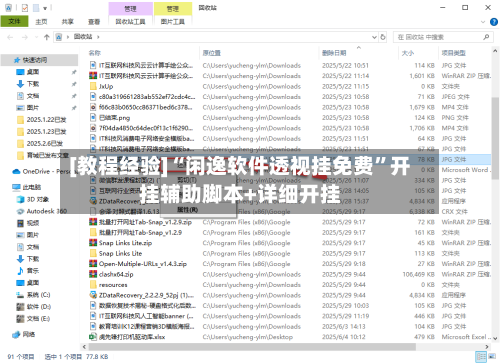 [教程经验]“闲逸软件透视挂免费”开挂辅助脚本+详细开挂-第2张图片
