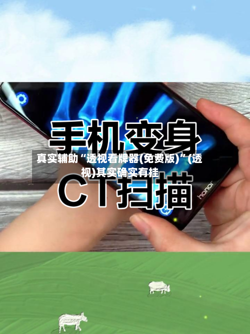 真实辅助“透视看牌器(免费版)”(透视)其实确实有挂-第2张图片