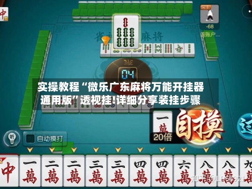 实操教程“微乐广东麻将万能开挂器通用版	”透视挂!详细分享装挂步骤-第2张图片