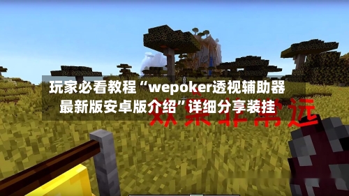 玩家必看教程“wepoker透视辅助器最新版安卓版介绍”详细分享装挂