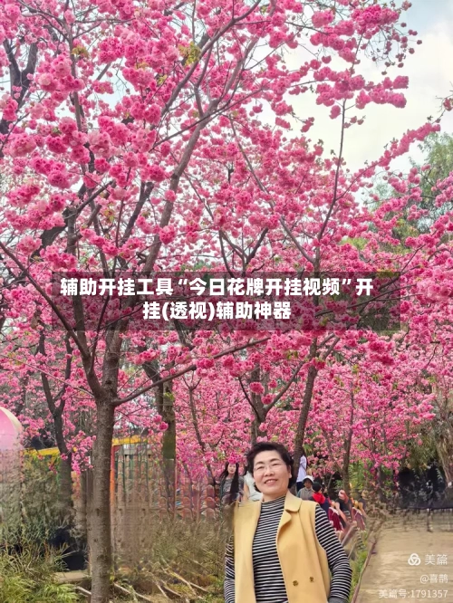 辅助开挂工具“今日花牌开挂视频”开挂(透视)辅助神器-第2张图片