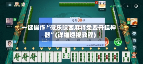 一键操作“微乐陕西麻将免费开挂神器	”(详细透视教程)-第2张图片