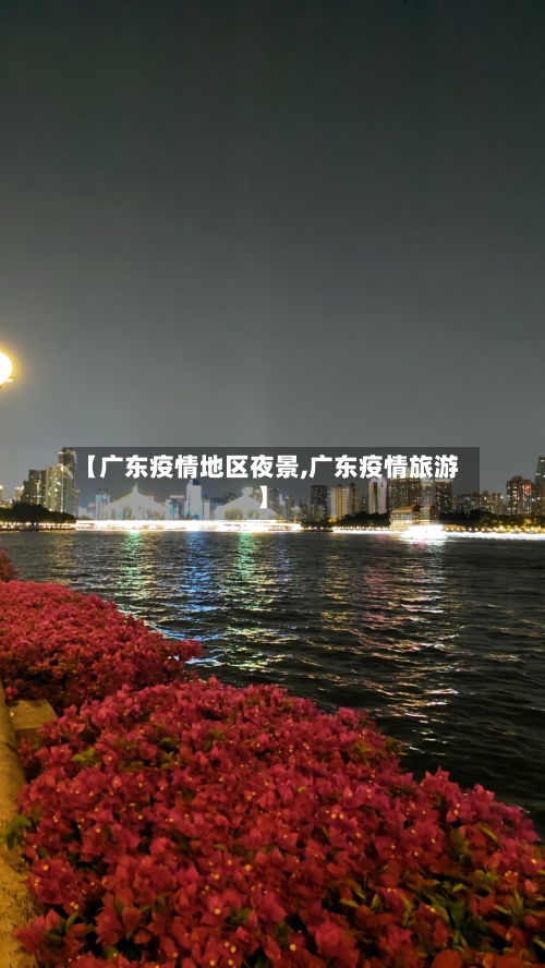【广东疫情地区夜景,广东疫情旅游】-第2张图片