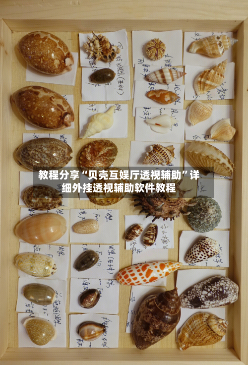 教程分享“贝壳互娱厅透视辅助	”详细外挂透视辅助软件教程-第2张图片
