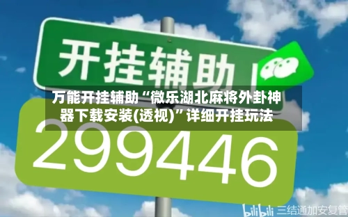 万能开挂辅助“微乐湖北麻将外卦神器下载安装(透视)”详细开挂玩法-第3张图片