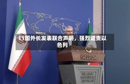 11国外长发表联合声明，强烈谴责以色列