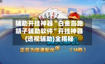 辅助开挂神器“白金岛跑胡子辅助软件”开挂神器{透视辅助}全揭秘-第2张图片