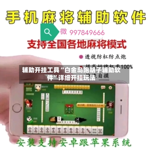 辅助开挂工具“白金岛跑胡子辅助软件	”详细开挂玩法-第2张图片