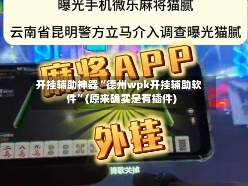 开挂辅助神器“德州wpk开挂辅助软件”(原来确实是有插件)