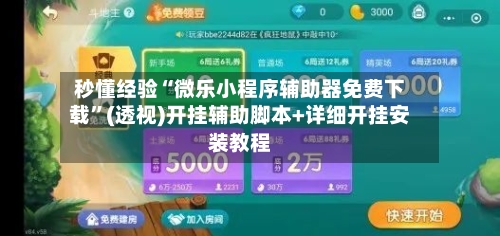 秒懂经验“微乐小程序辅助器免费下载	”(透视)开挂辅助脚本+详细开挂安装教程-第2张图片