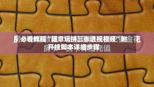 必看教程“随意玩拼三张透视视频	”附开挂脚本详细步骤-第2张图片