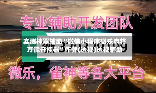 实测神器辅助“微信小程序微乐麻将万能开挂器”作弊(透视)透视辅助-第2张图片