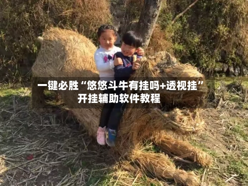 一键必胜“悠悠斗牛有挂吗+透视挂”开挂辅助软件教程-第3张图片