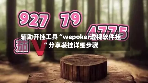 辅助开挂工具“wepoker透视软件挂”分享装挂详细步骤-第2张图片